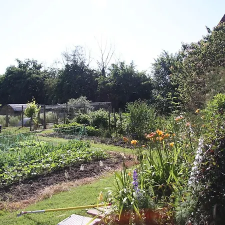 At Le Prielle Madiran